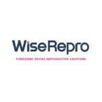 Logo wise Logo wise