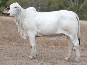 Lot92