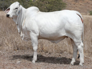 Lot94