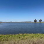 Scott dam