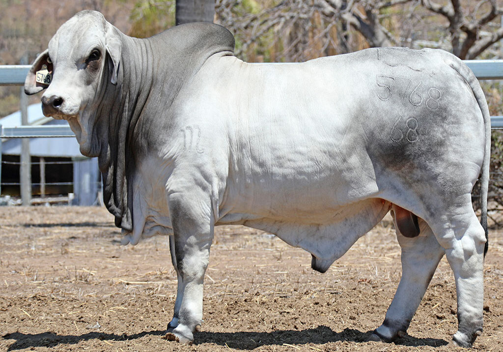 106-LANCEFIELD-M-LEROY-5768M-LAM5768MM