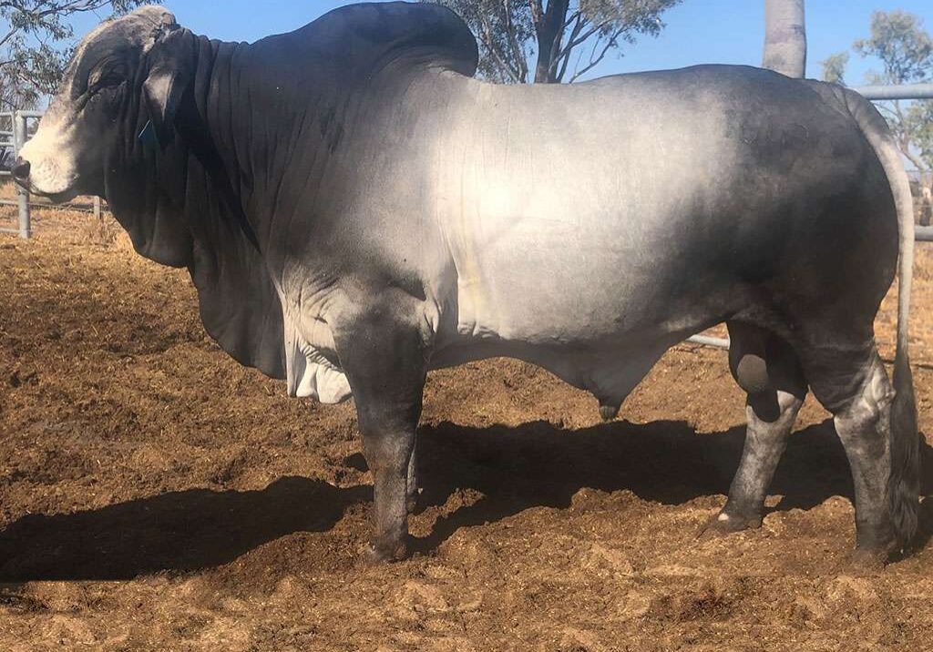 13-ELROSE-LARRY-16480-ELR16480M