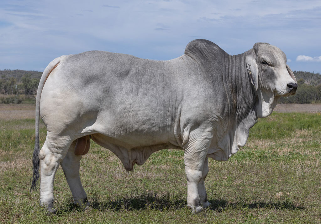 17updatedLancefieldMLOCKERBIE7323