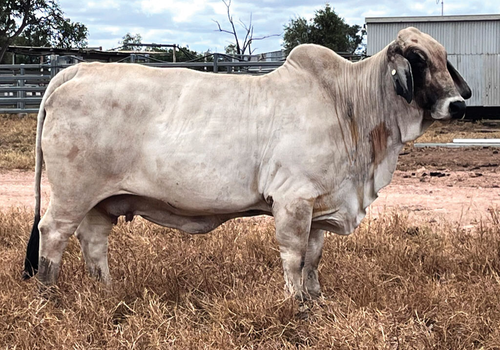 31_DJM5467M_LANCEFIELD-D-ESTELLE