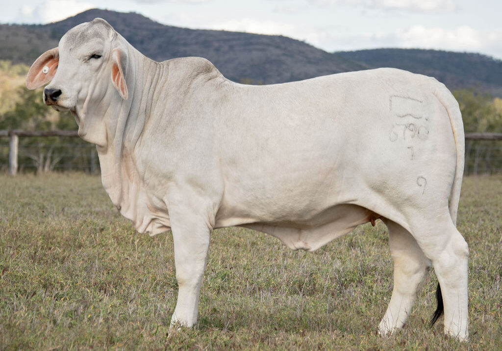9_6790H