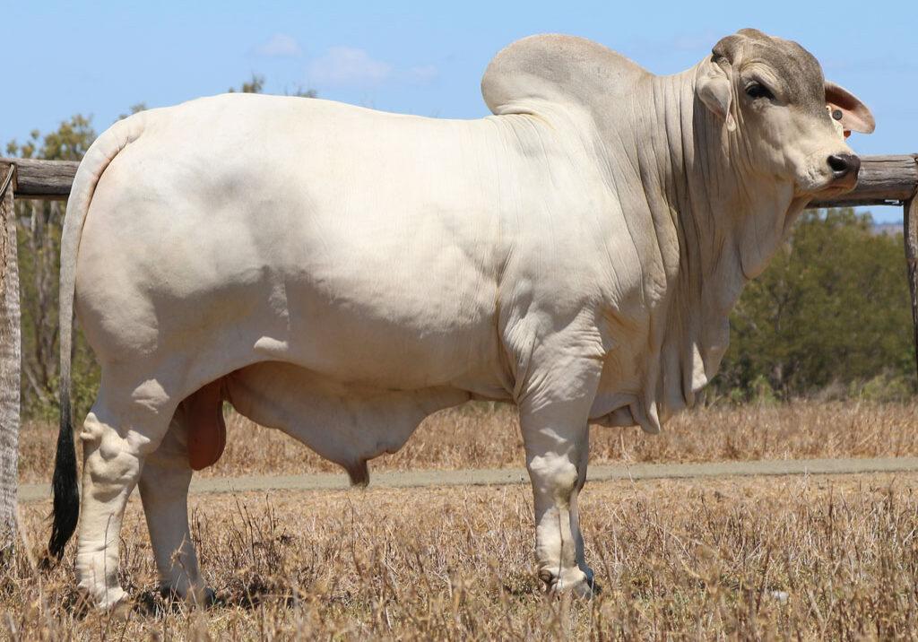 LOT-18-LANCEFIELD-S-MUNROE-5950_1-(PS)