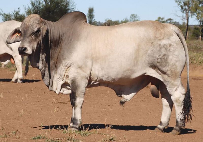 LOT61_PALIMG_7743_temp