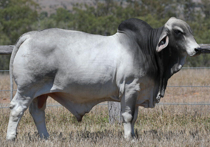 LOT69_LAS301