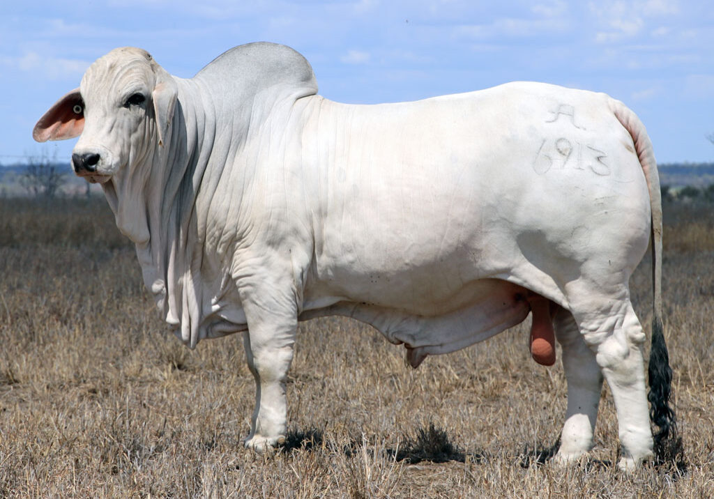 Lot-14-2AM-Easton-6913_McCALM