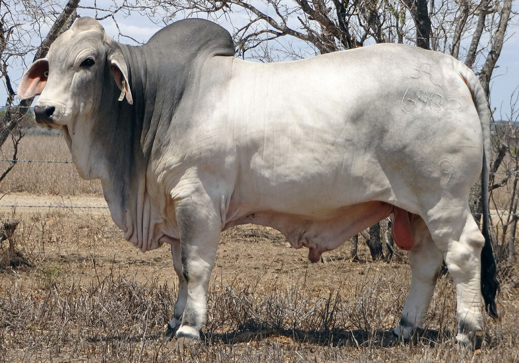 Lot-49-2AM-Enterprise-6982_AM-(1)