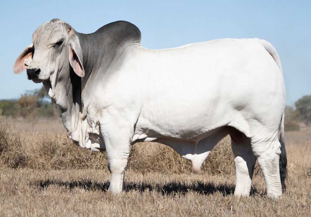 Lot01