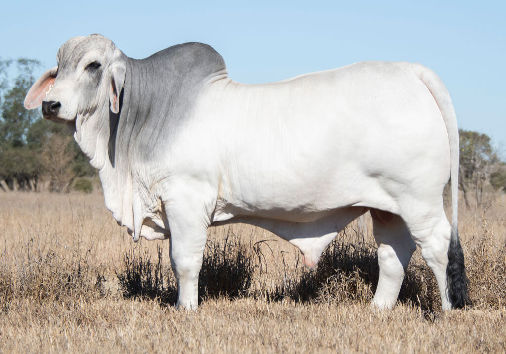 Lot03