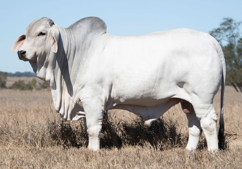 Lot04