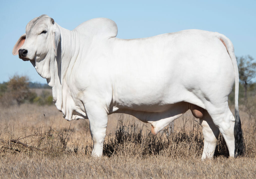 Lot05