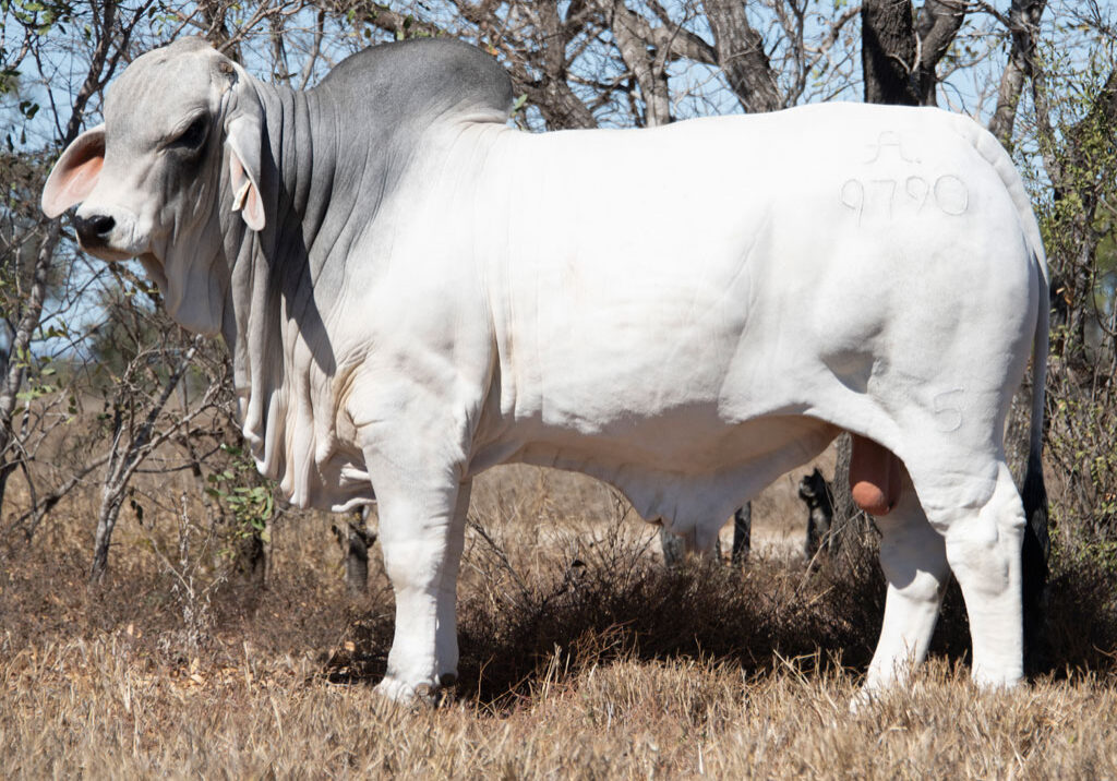 Lot08