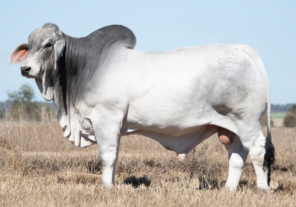 Lot09