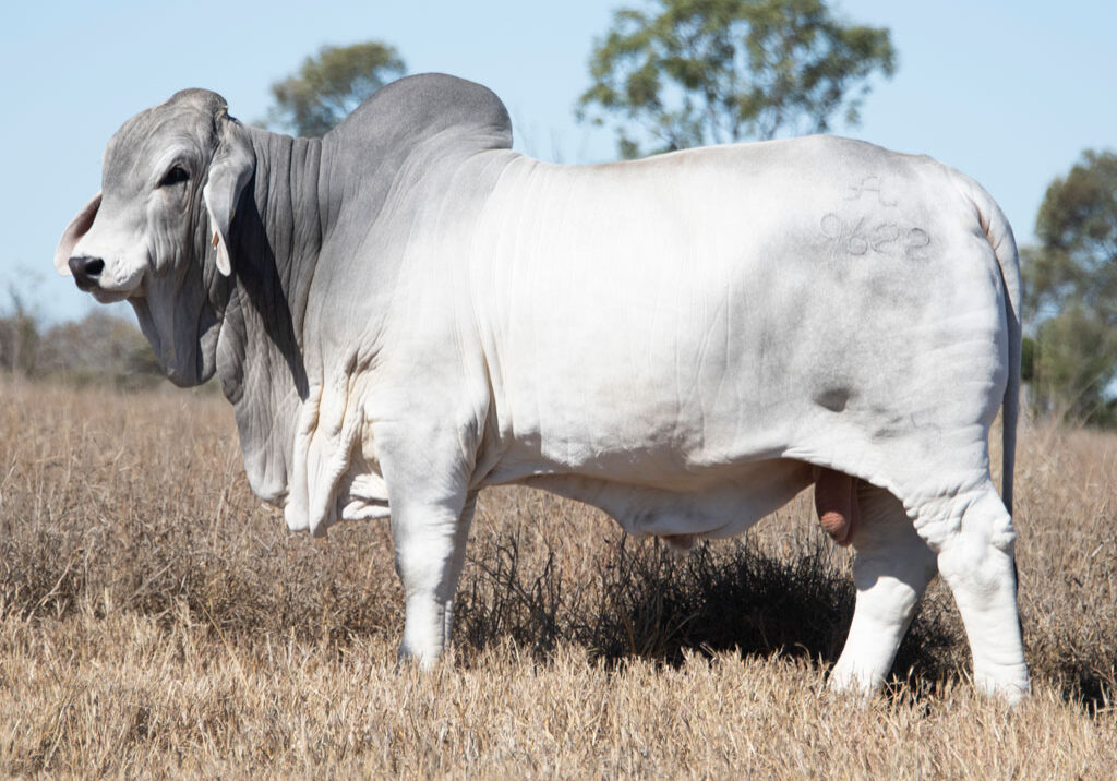 Lot10