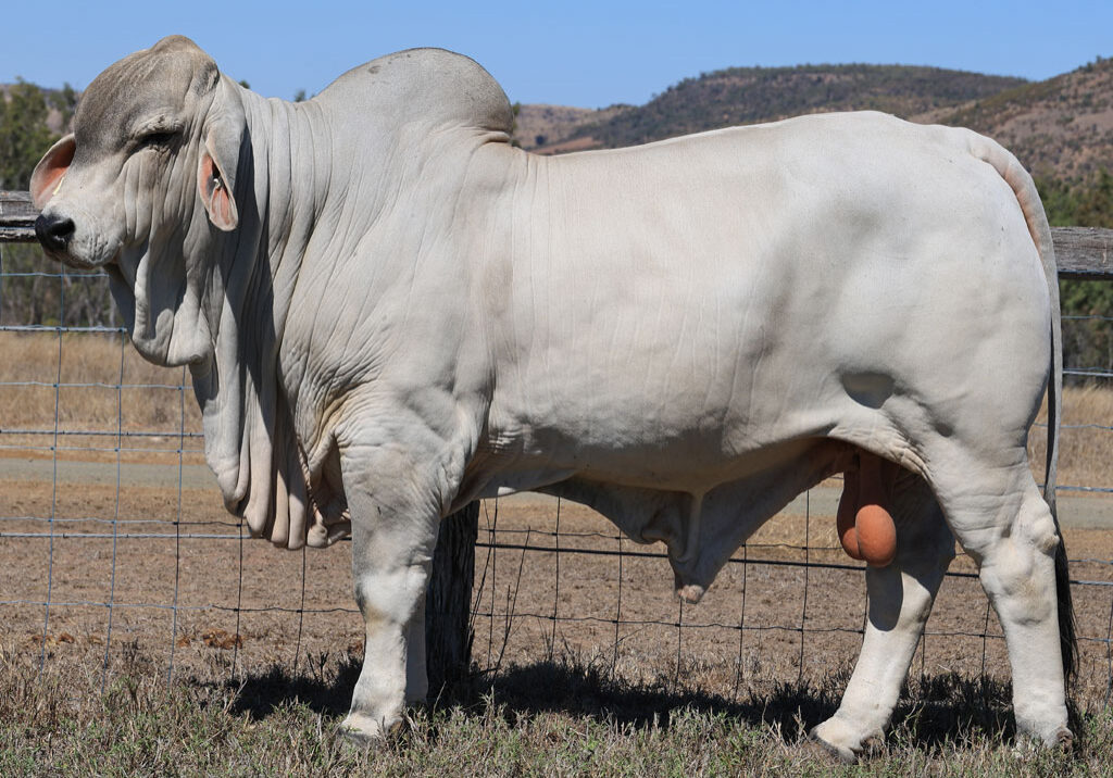 Lot13