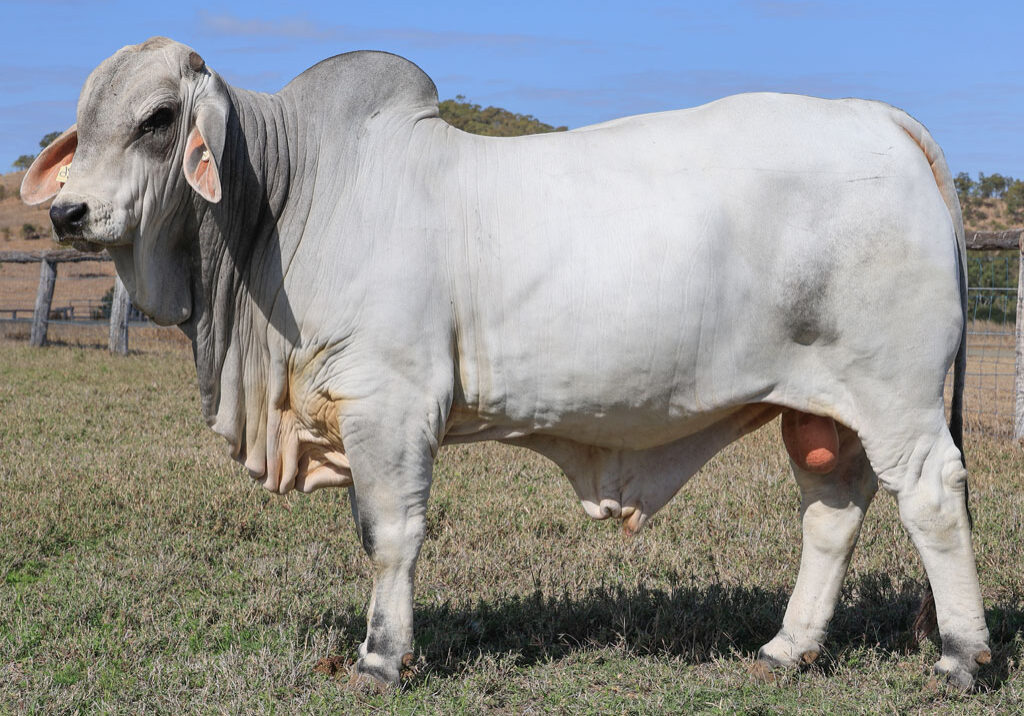 Lot14