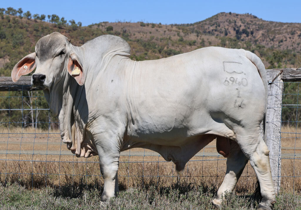 Lot16