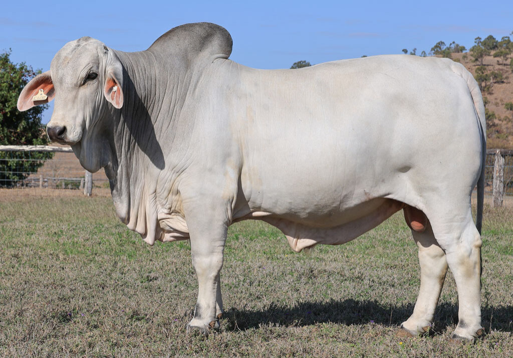 Lot17