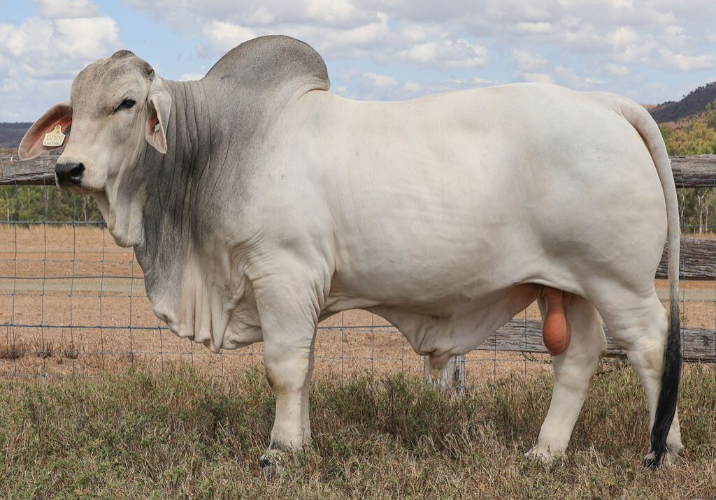 Lot18