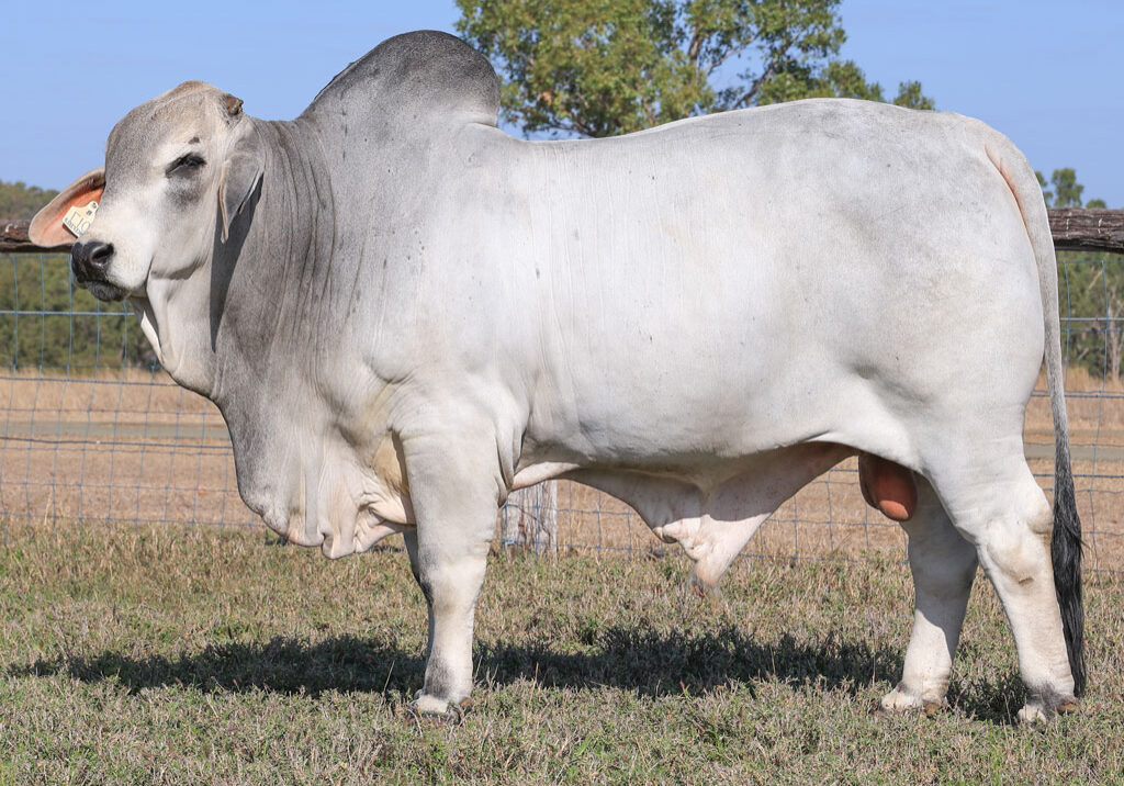 Lot19