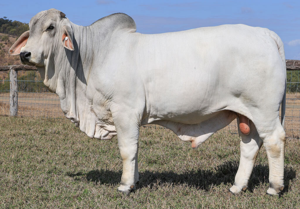 Lot21