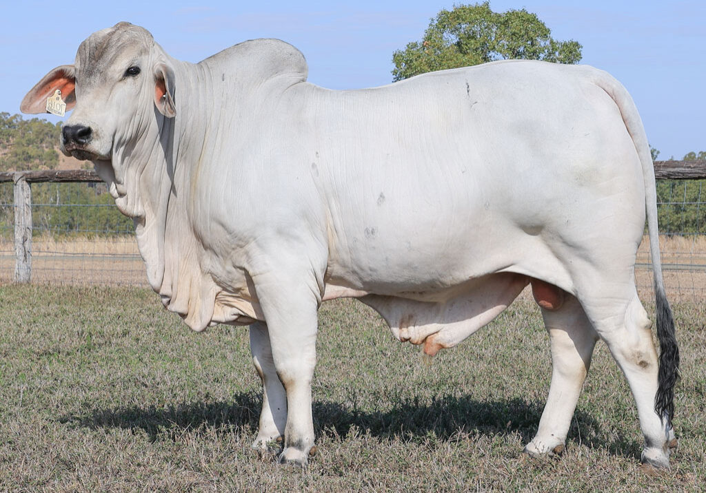 Lot22