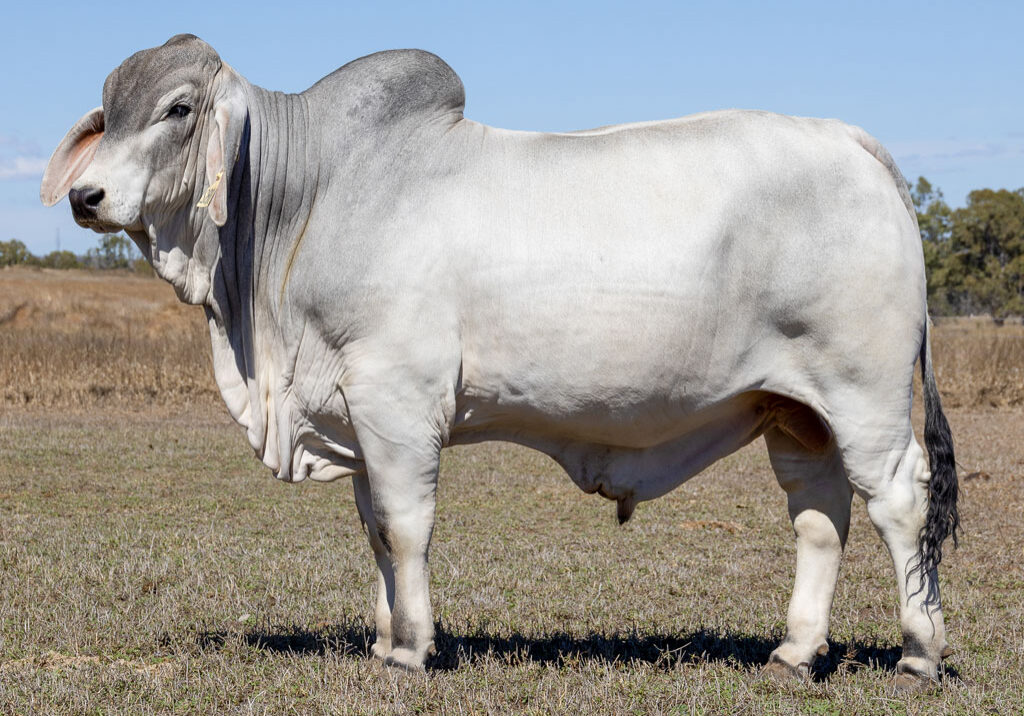 Lot24