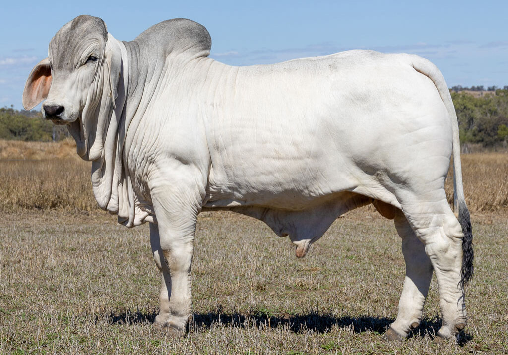 Lot25