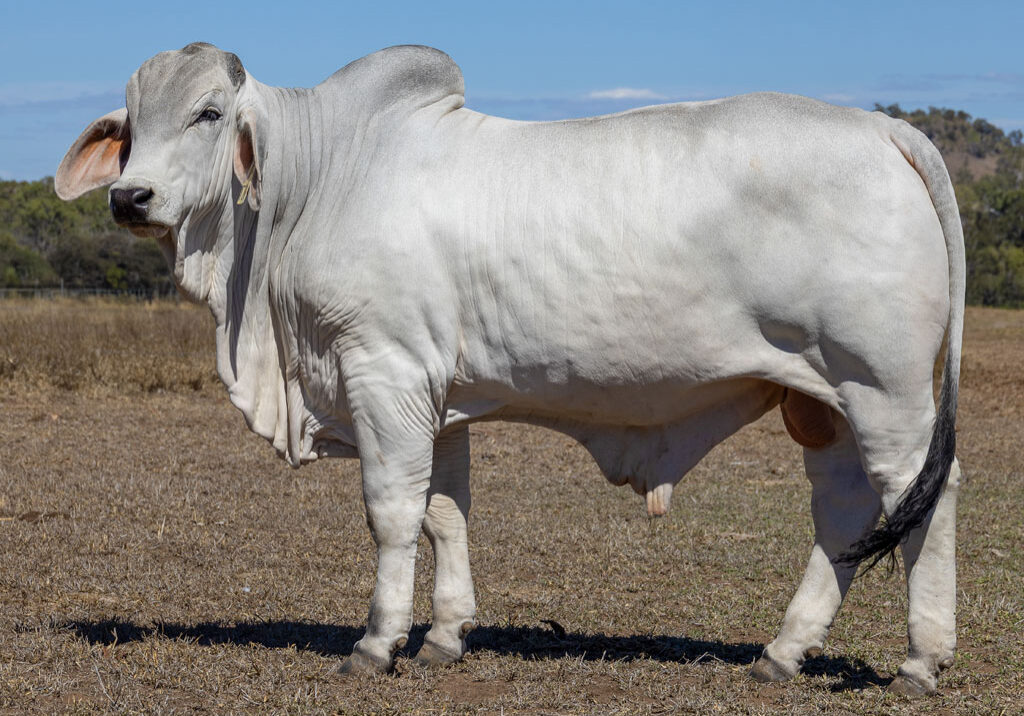 Lot26