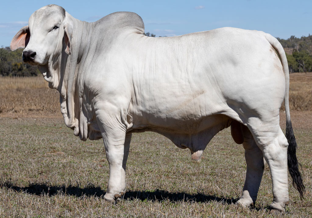 Lot27