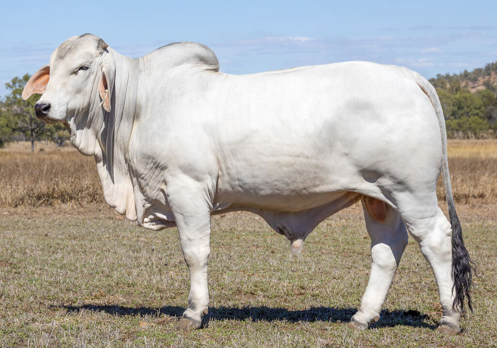 Lot28