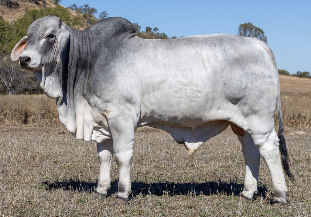 Lot34