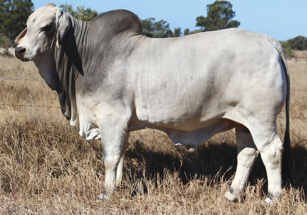 Lot35