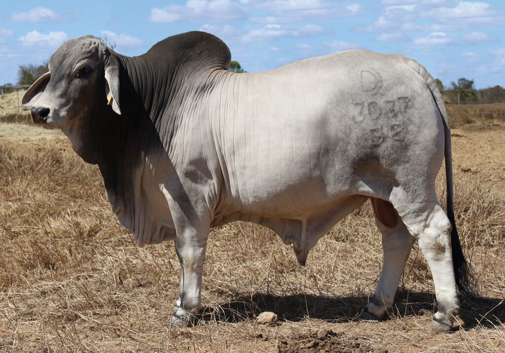 Lot38