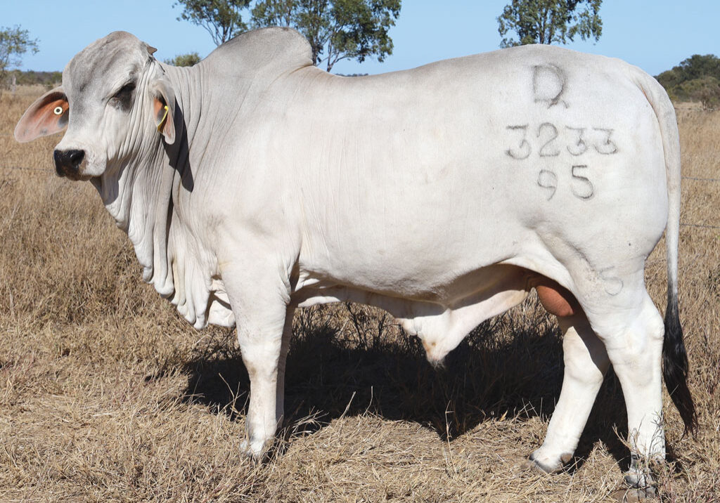Lot39