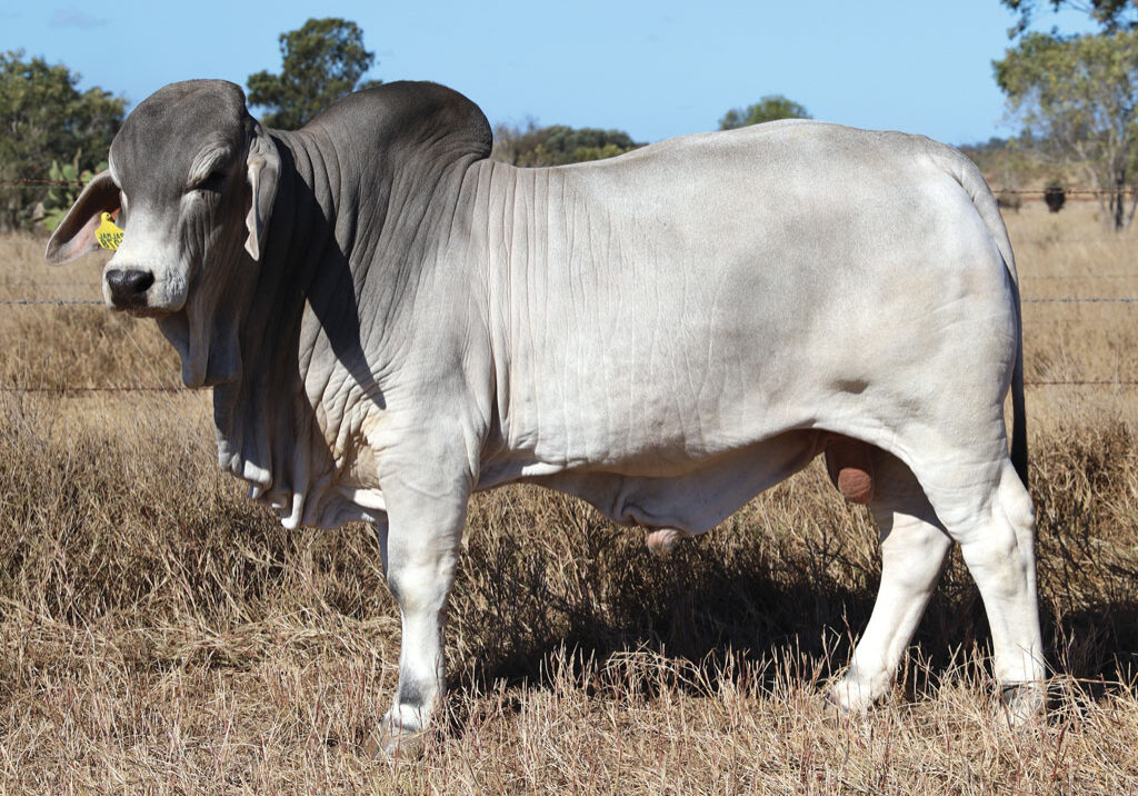 Lot46