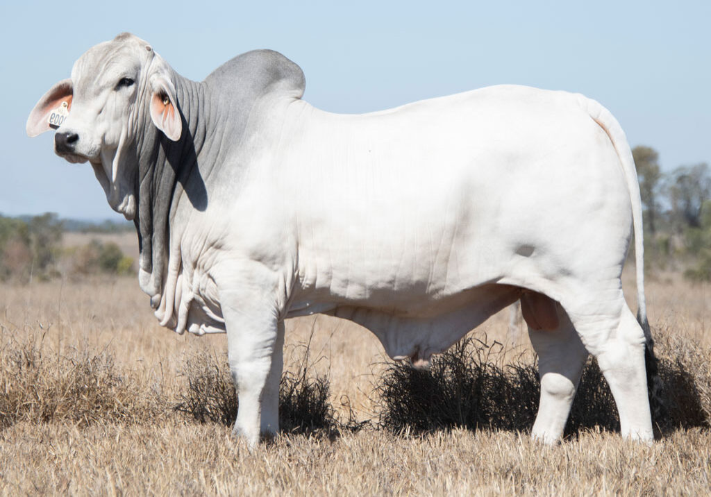 Lot56