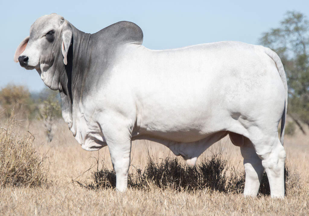 Lot58