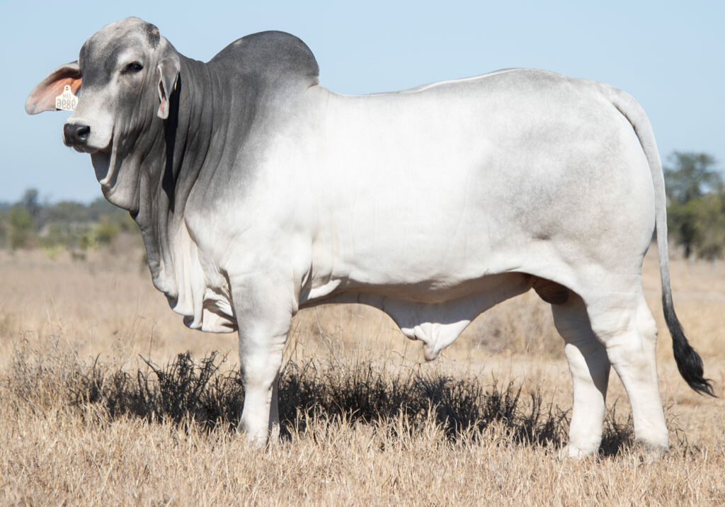 Lot59
