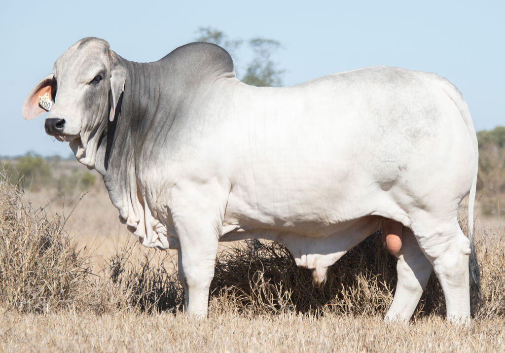 Lot60