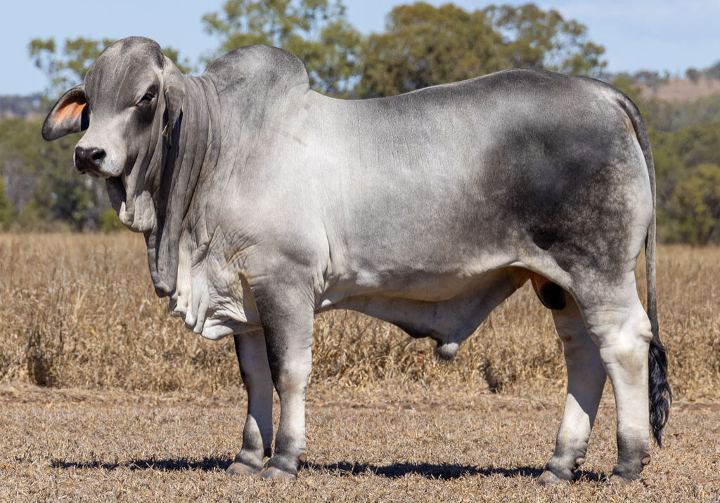 Lot63