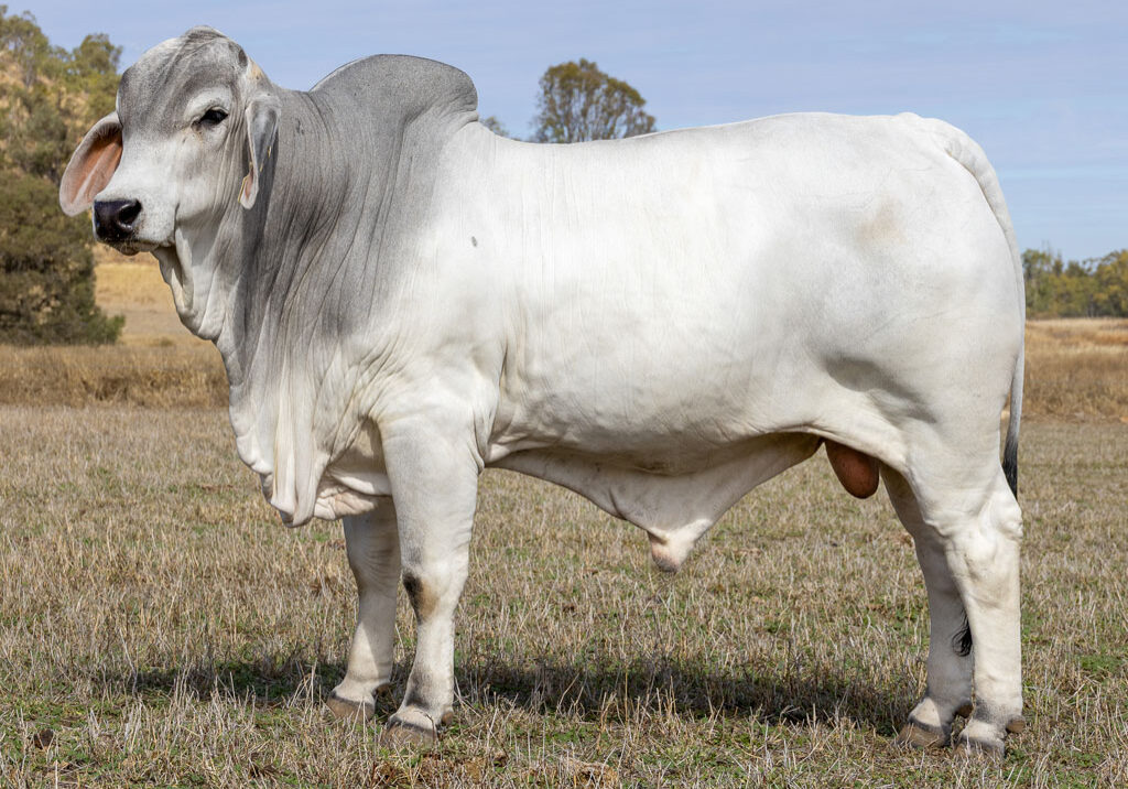 Lot66
