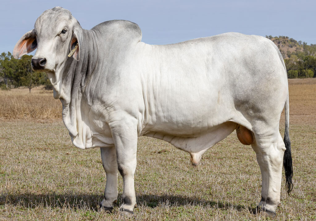 Lot70