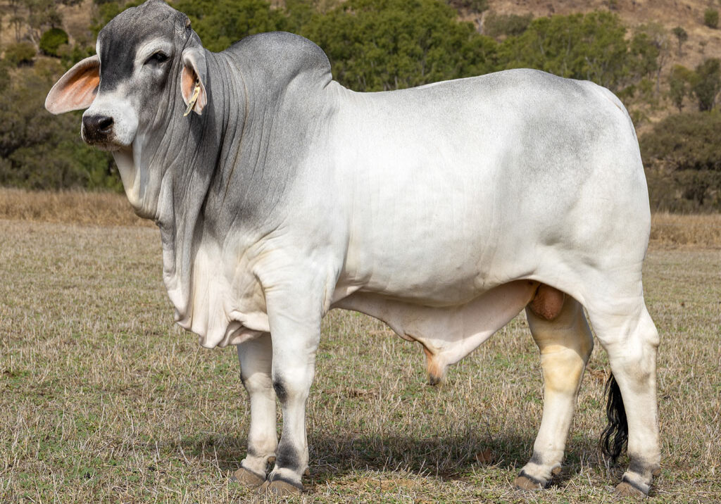 Lot72
