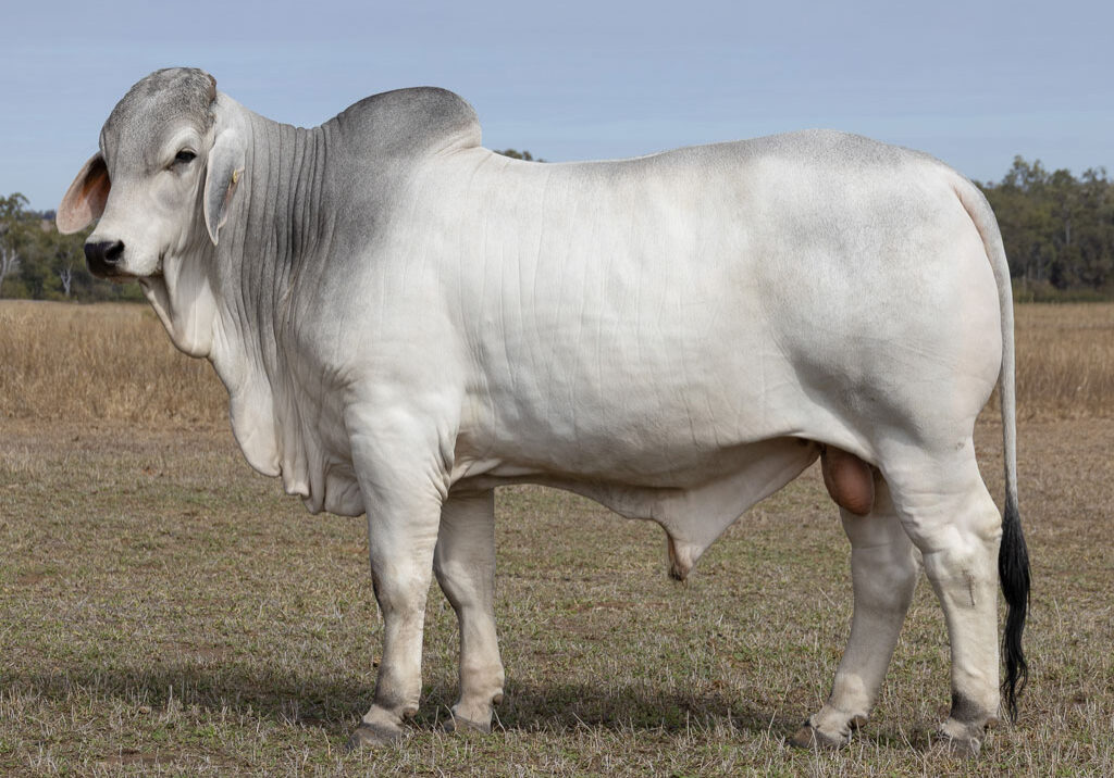 Lot73