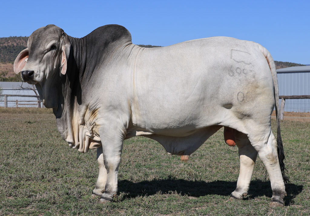 Lot74