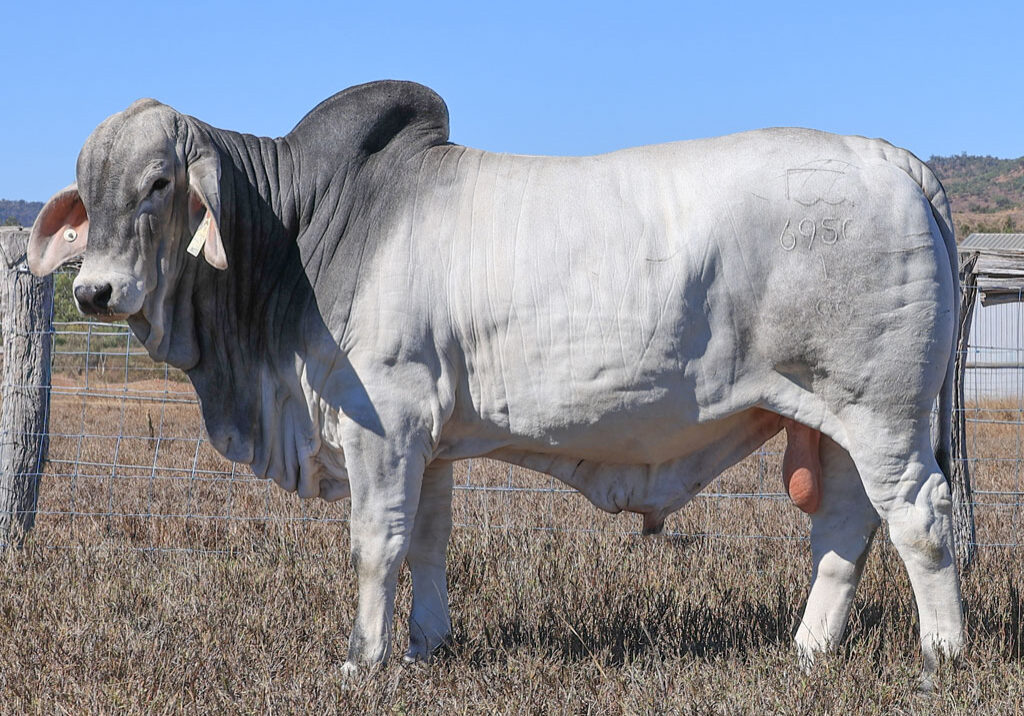 Lot75